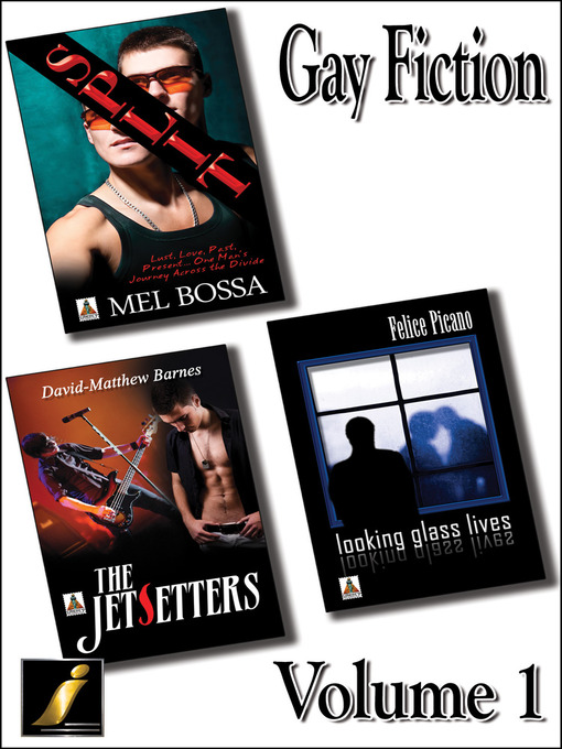 Title details for Gay Fiction, Volume 1 by Mel Bossa - Available